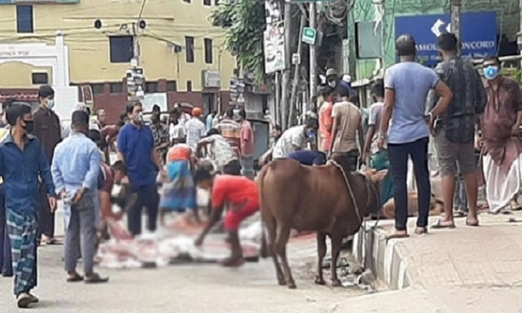 ফাইল ছবি