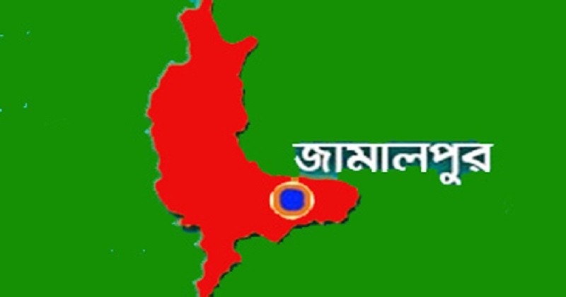 ফাইল ছবি 