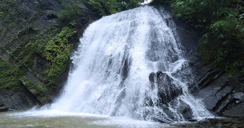 ফাইল ছবি 